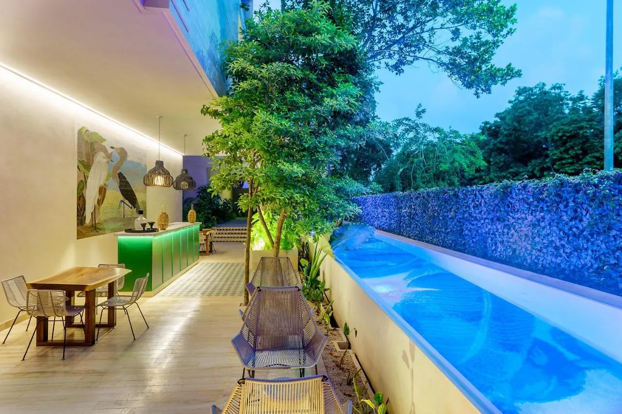 403 Stunning Rooftop Apartment For Couples W/Private Pool Tulum Mexiko